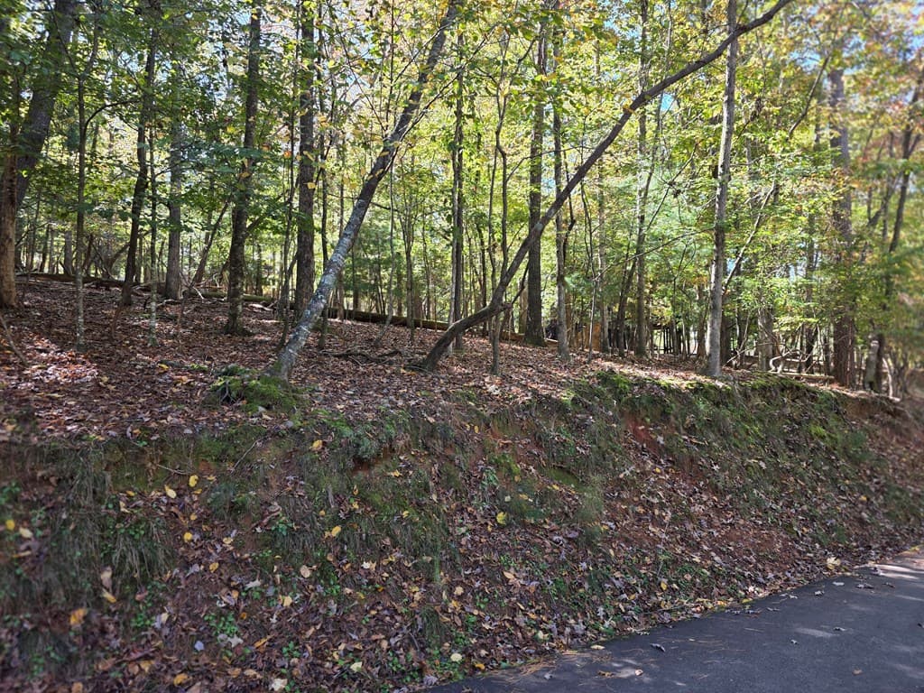 Lot #385 Zenith Trail, Ellijay GA 30540 - Photo