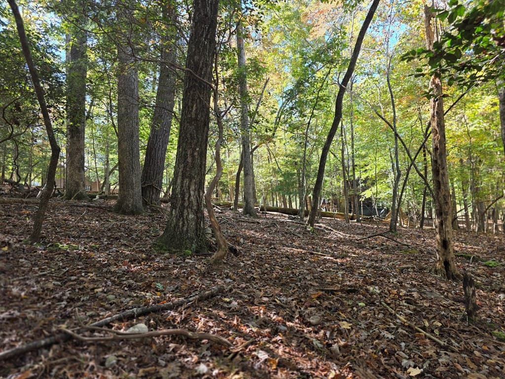 Lot #385 Zenith Trail, Ellijay GA 30540 - Photo