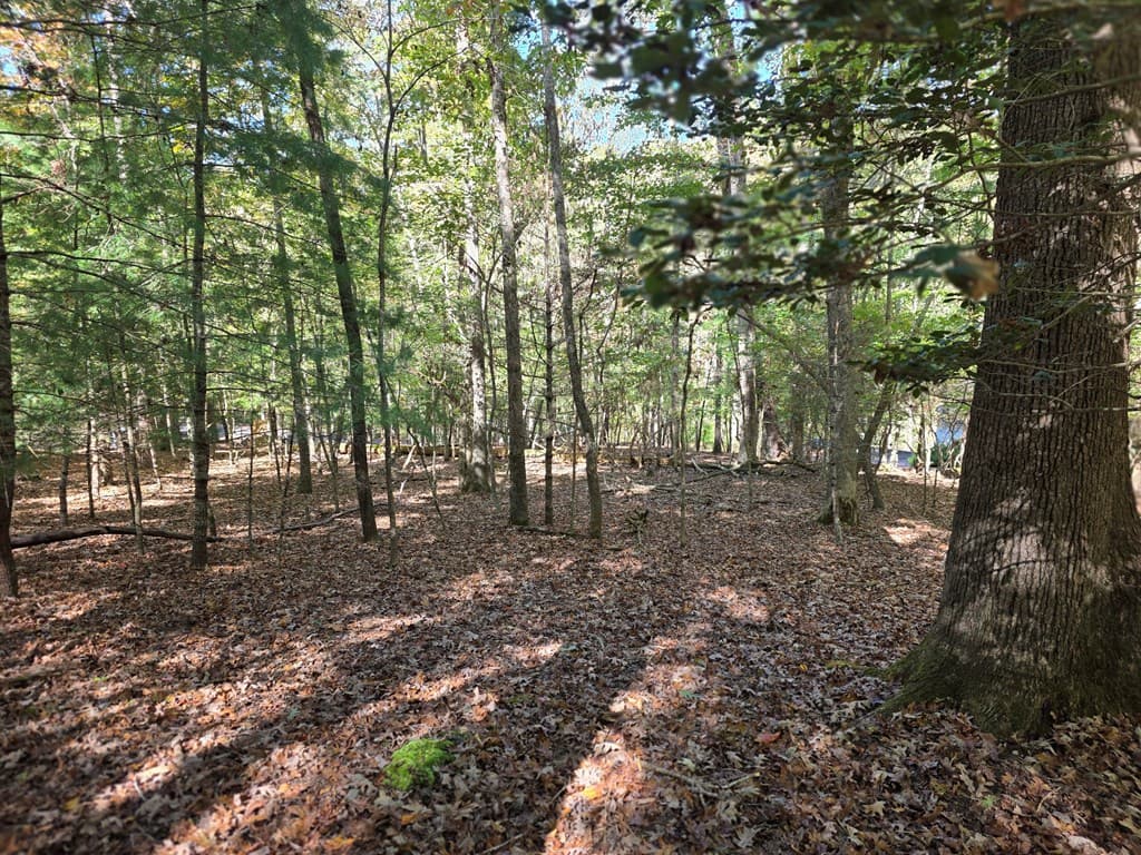 Lot #385 Zenith Trail, Ellijay GA 30540 - Photo