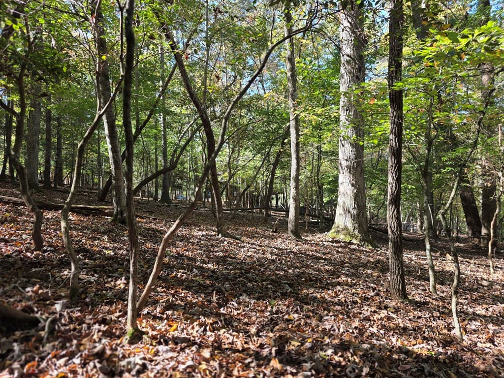 Lot #385 Zenith Trail, Ellijay GA 30540 - Photo
