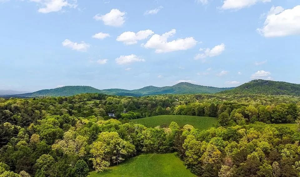 233 Ivy Ridge, Ellijay GA 30536 - Photo