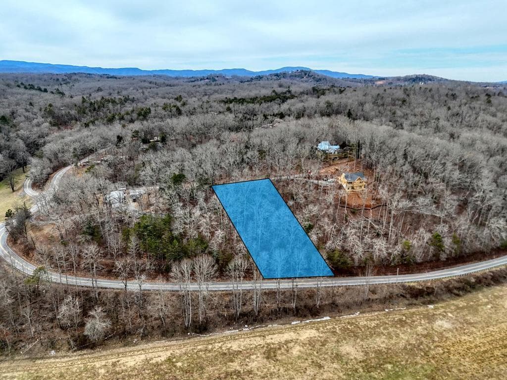 0.65 AC Barnes Chapel Road, Blue Ridge GA 30513 - Photo