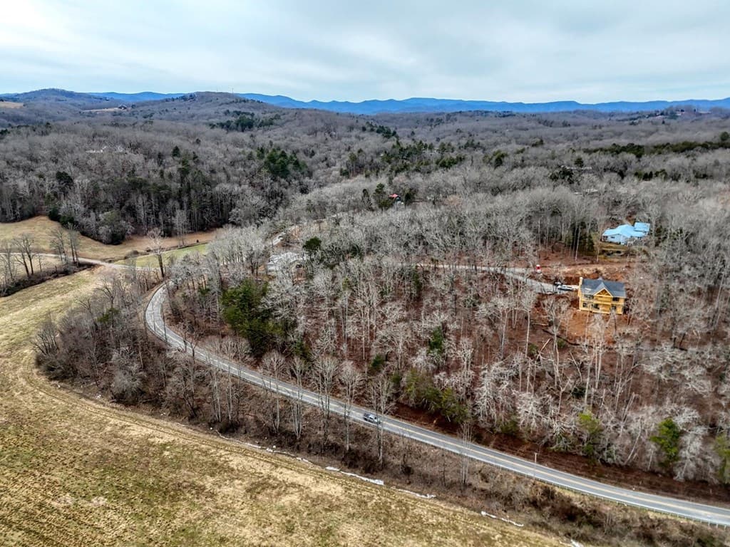 0.65 AC Barnes Chapel Road, Blue Ridge GA 30513 - Photo