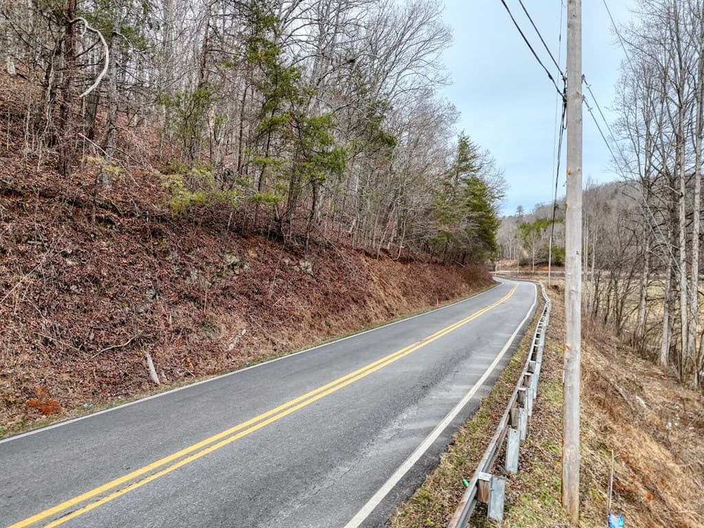 0.65 AC Barnes Chapel Road, Blue Ridge GA 30513 - Photo