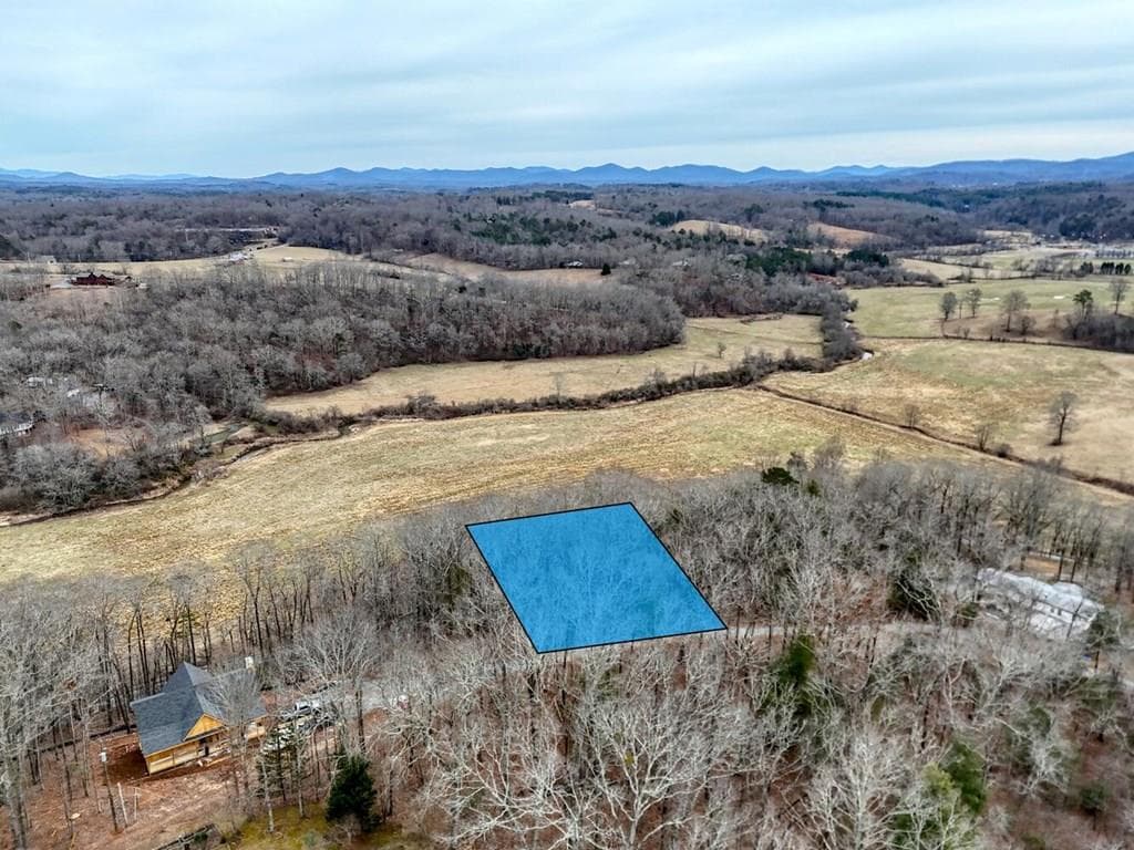 0.65 AC Barnes Chapel Road, Blue Ridge GA 30513 - Primary photo