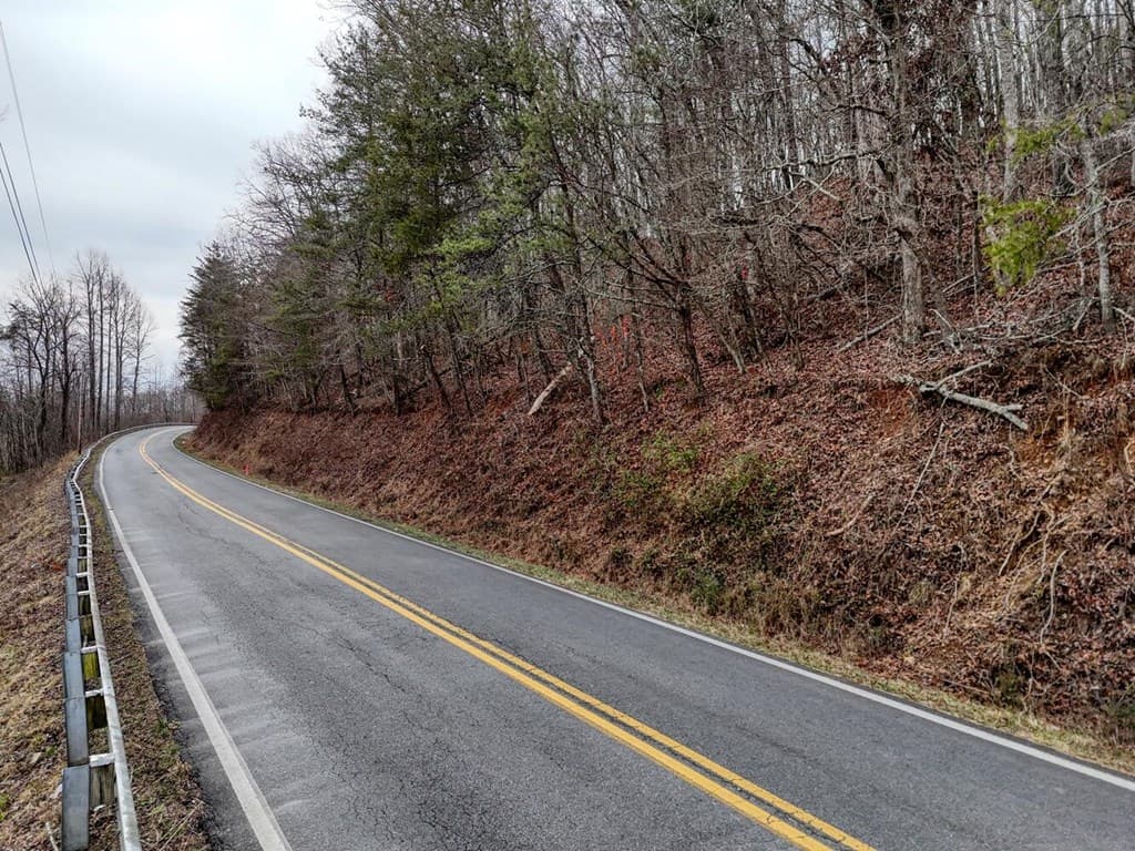0.65 AC Barnes Chapel Road, Blue Ridge GA 30513 - Photo