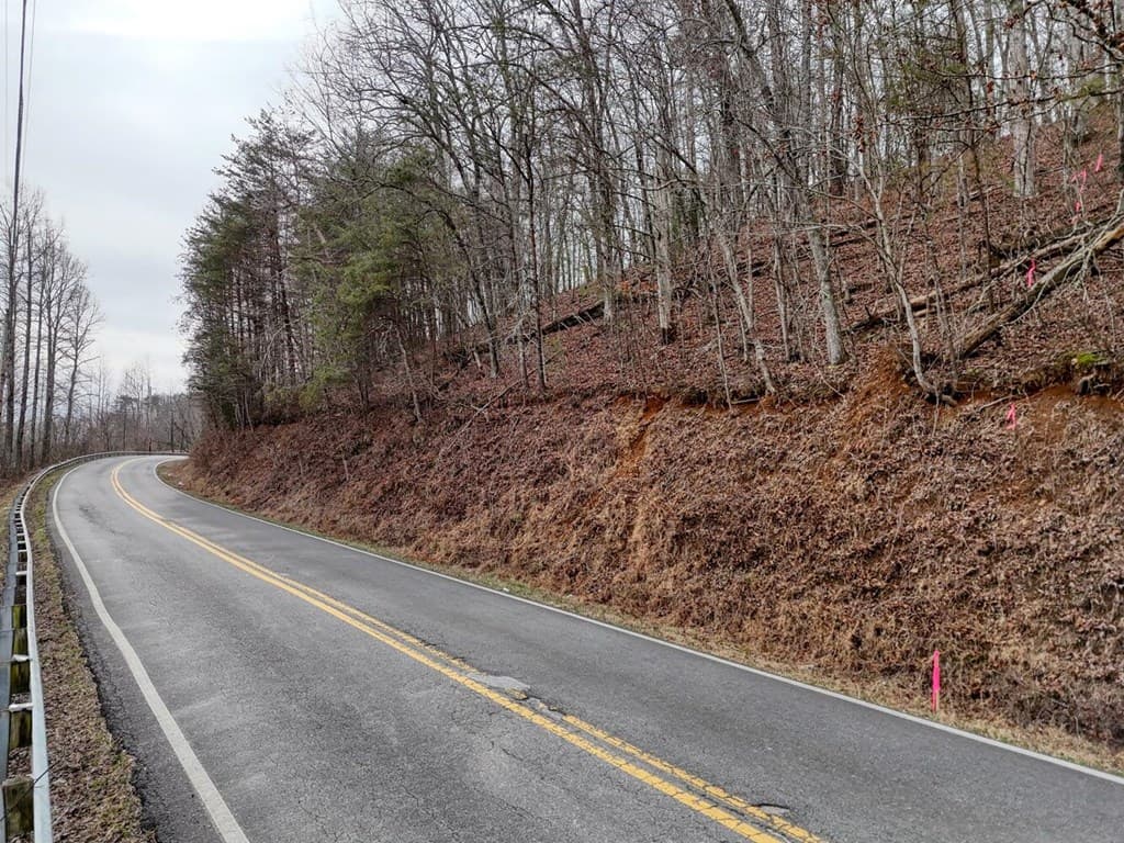 0.65 AC Barnes Chapel Road, Blue Ridge GA 30513 - Photo