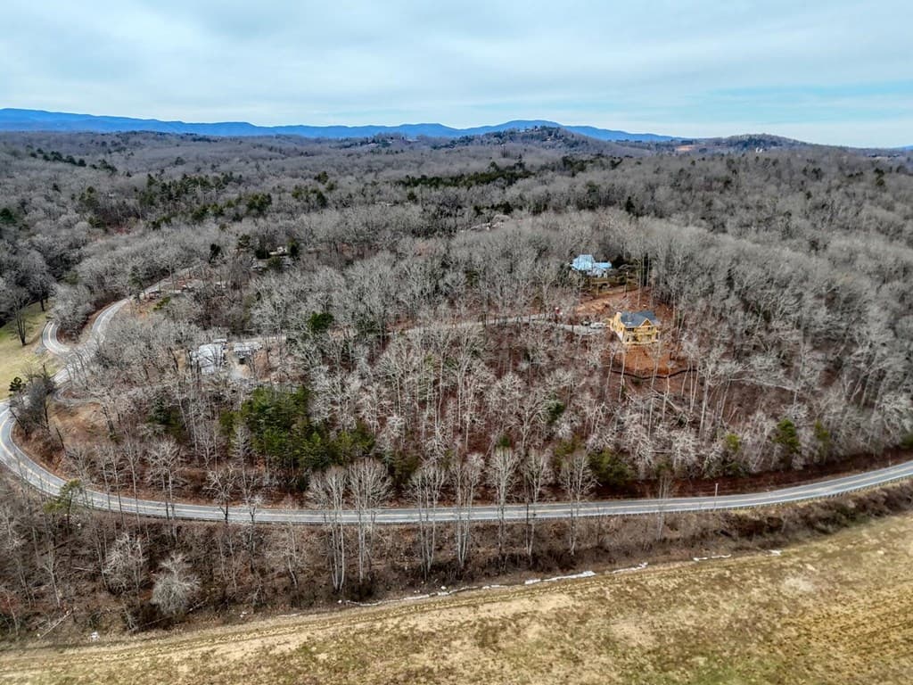 0.65 AC Barnes Chapel Road, Blue Ridge GA 30513 - Photo