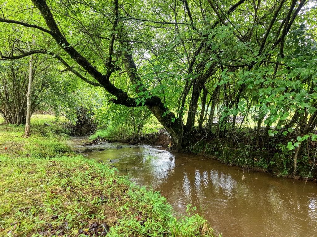 881 Aska Road, Blue Ridge GA 30513 - Photo