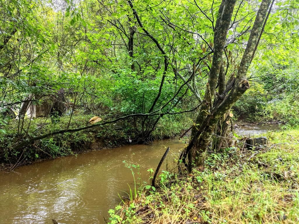 881 Aska Road, Blue Ridge GA 30513 - Photo