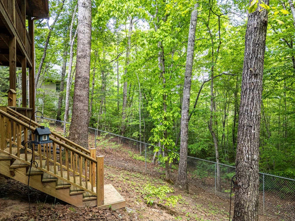 198 Dew Drop Lane, Murphy NC 28905 - Photo