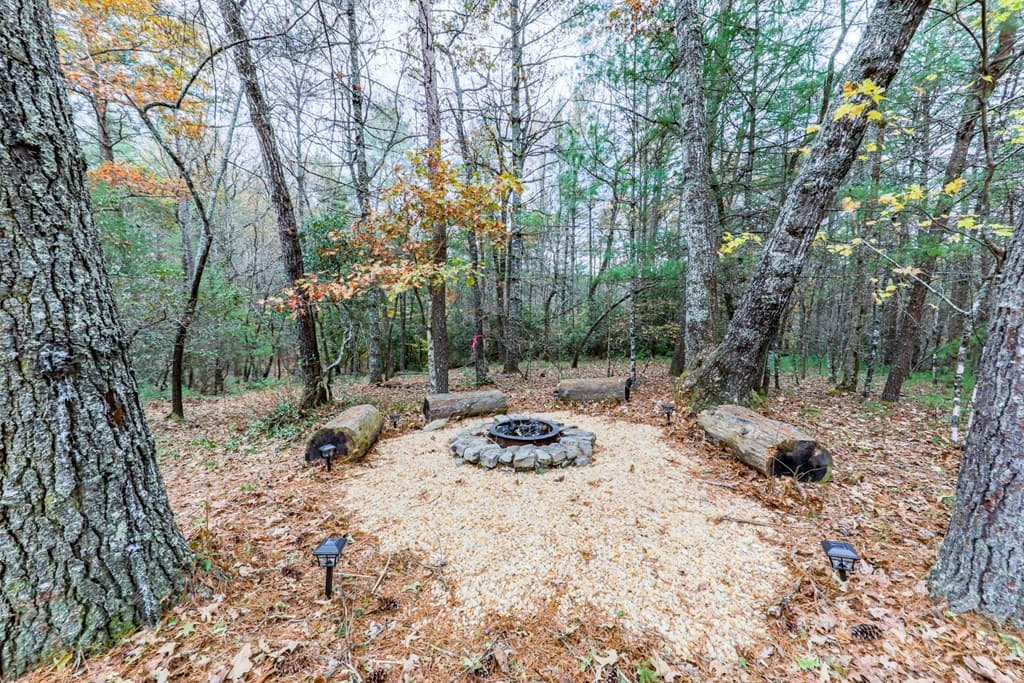 245 Weeks Creek, Blue Ridge GA 30513 - Photo