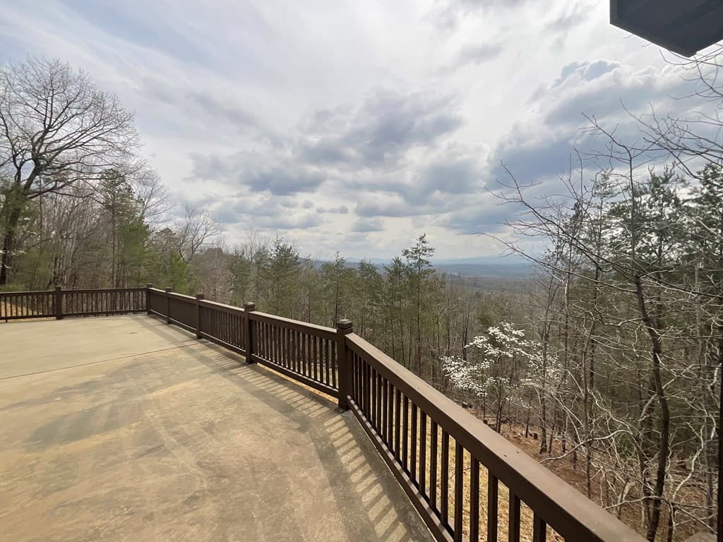 486 Henderson Lane, Mineral Bluff GA 30559 - Photo