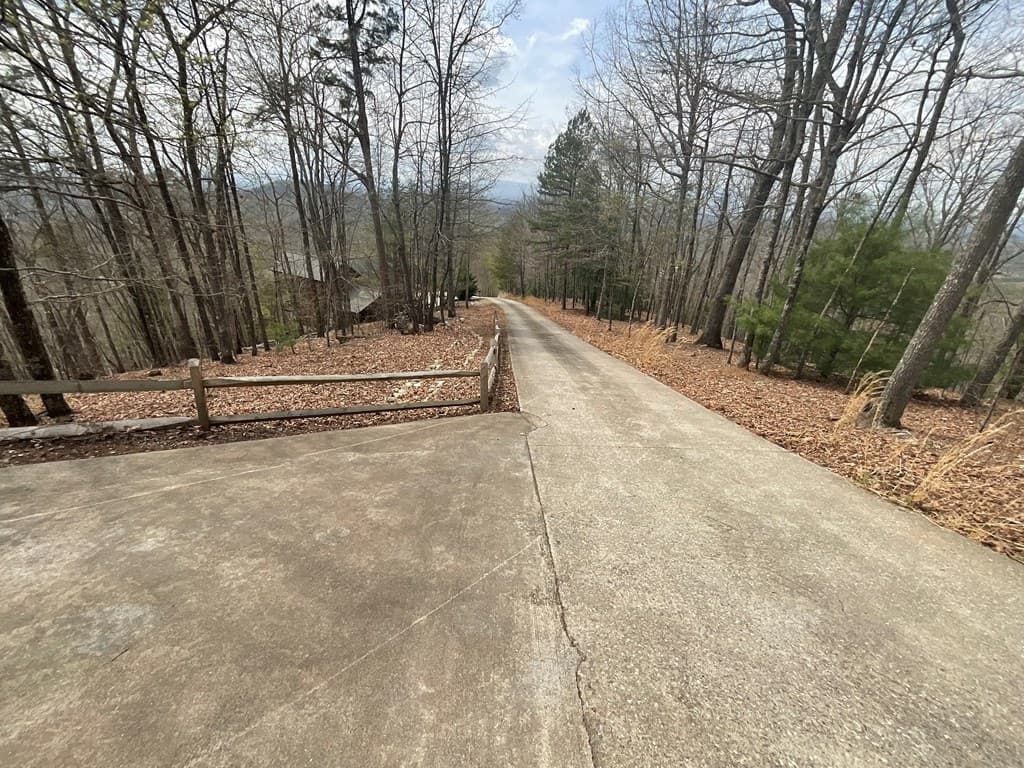 486 Henderson Lane, Mineral Bluff GA 30559 - Photo