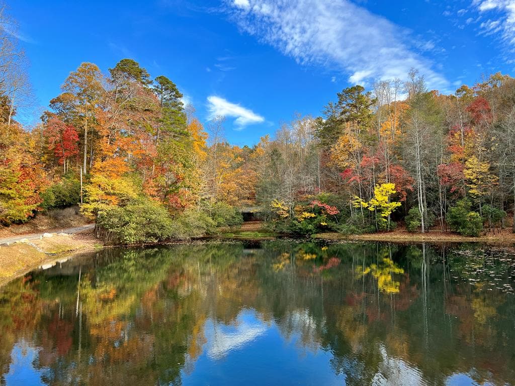 23 Briar Cove Lane, Morganton GA 30560 - Photo