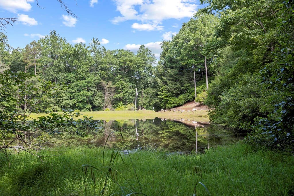 23 Briar Cove Lane, Morganton GA 30560 - Photo