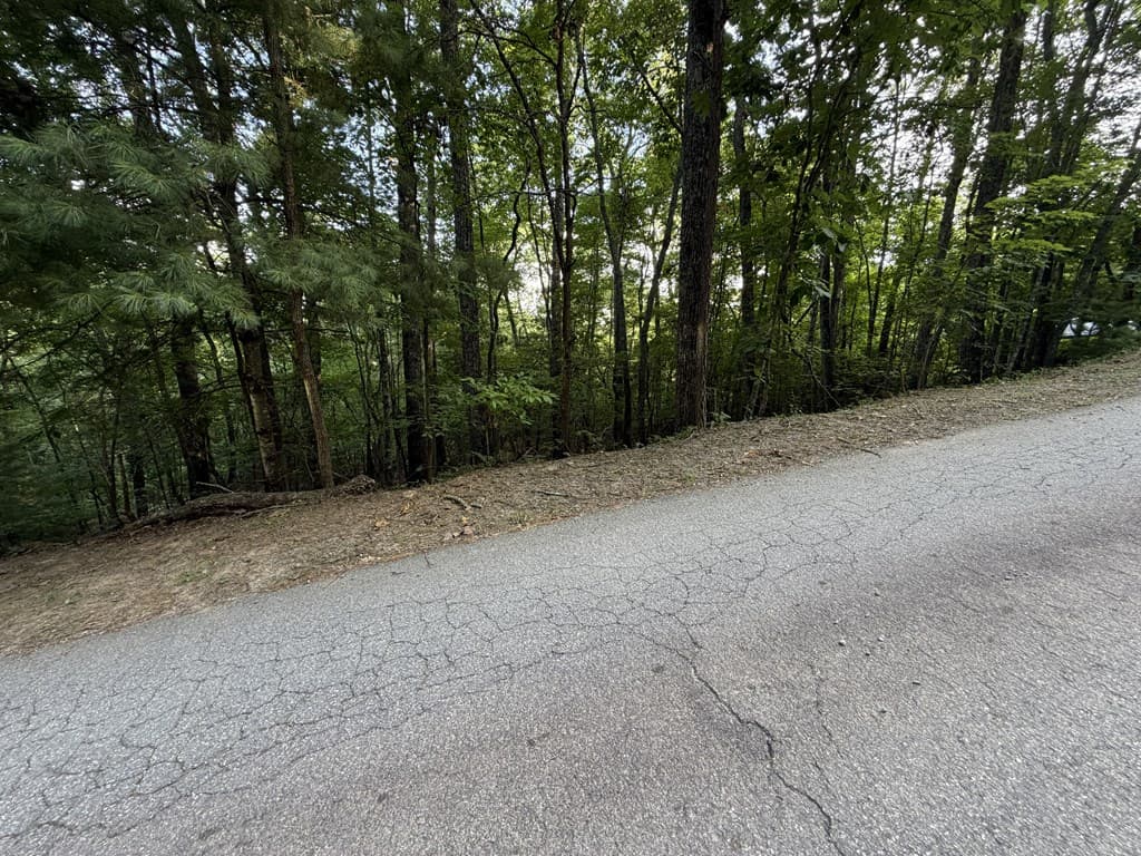 Lot 46 Fox Run Drive, Blue Ridge GA 30513 - Photo
