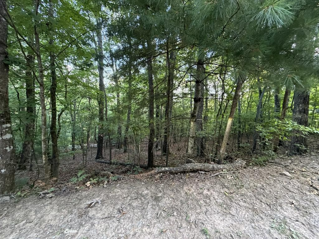 Lot 46 Fox Run Drive, Blue Ridge GA 30513 - Primary photo