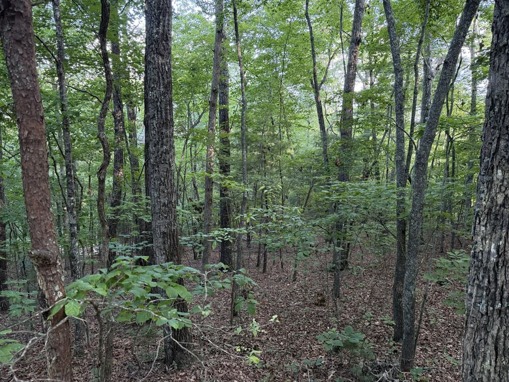 Lot 46 Fox Run Drive, Blue Ridge GA 30513 - Photo