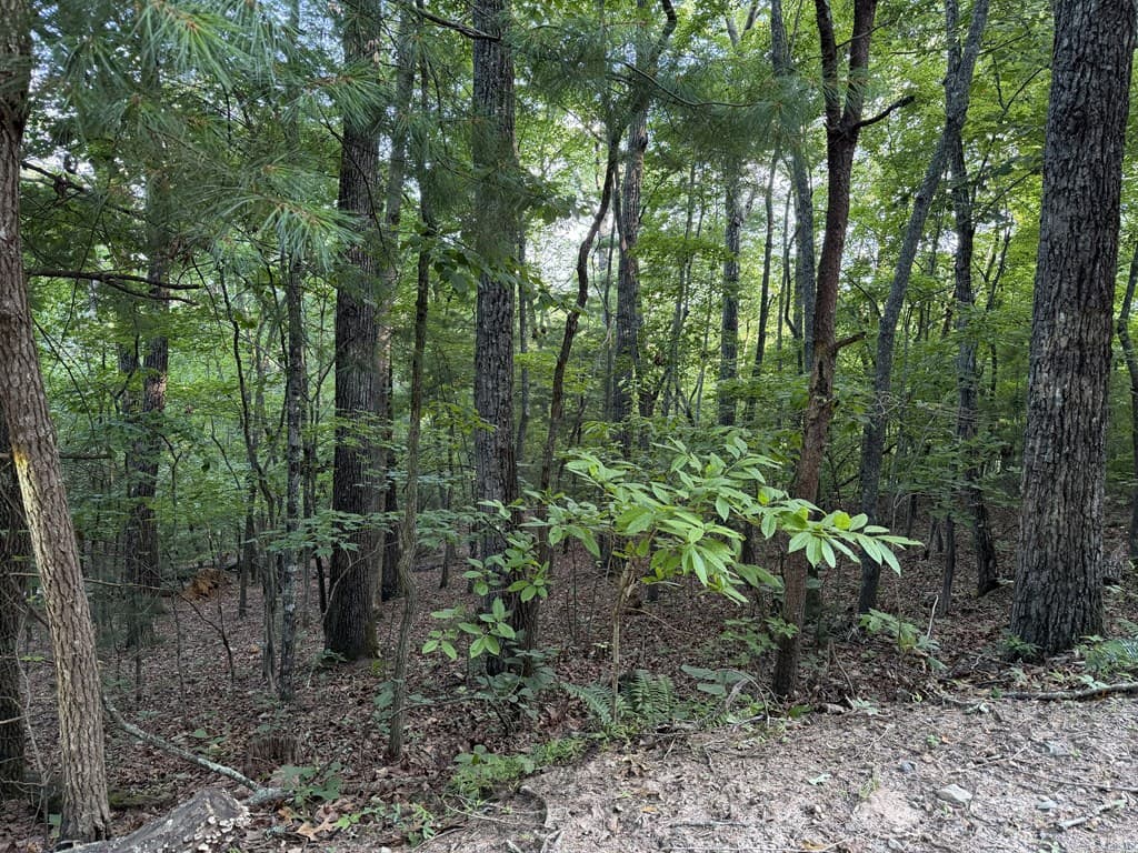 Lot 46 Fox Run Drive, Blue Ridge GA 30513 - Photo
