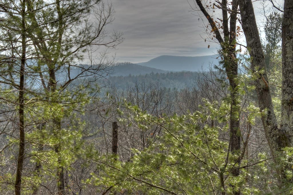 133 Rocky Road, Cherry Log GA 30522 - Photo