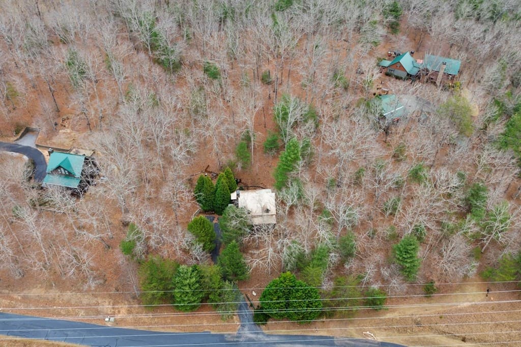 143 Kaely Drive, Mineral Bluff GA 30559 - Photo