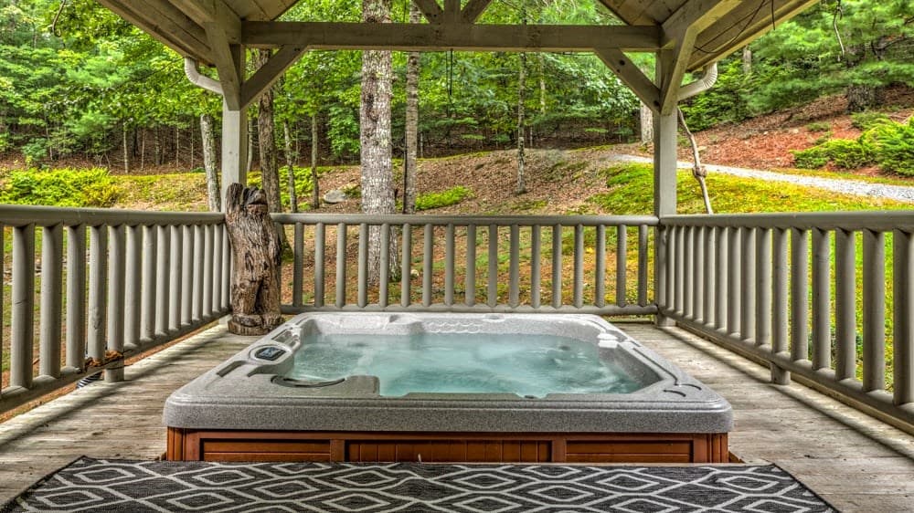 1630 Black Ankle Creek Road, Blue Ridge GA 30513 - Photo