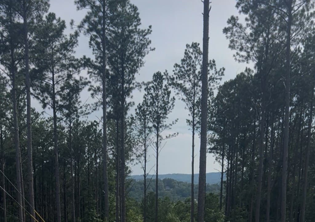 Lot 103 Blalock Mountain Road, Ellijay GA 30540 - Photo