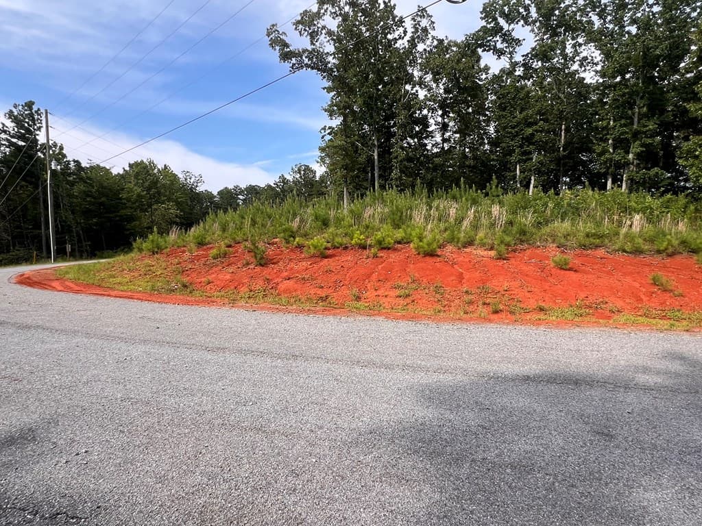 Lot 103 Blalock Mountain Road, Ellijay GA 30540 - Photo