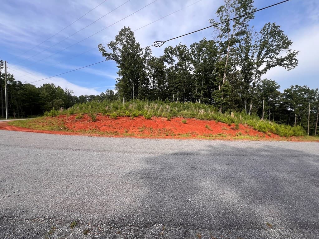 Lot 103 Blalock Mountain Road, Ellijay GA 30540 - Photo