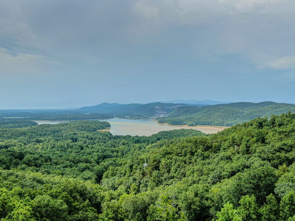 965 NE Raccoon Ridge, Ranger GA 30734 - Photo