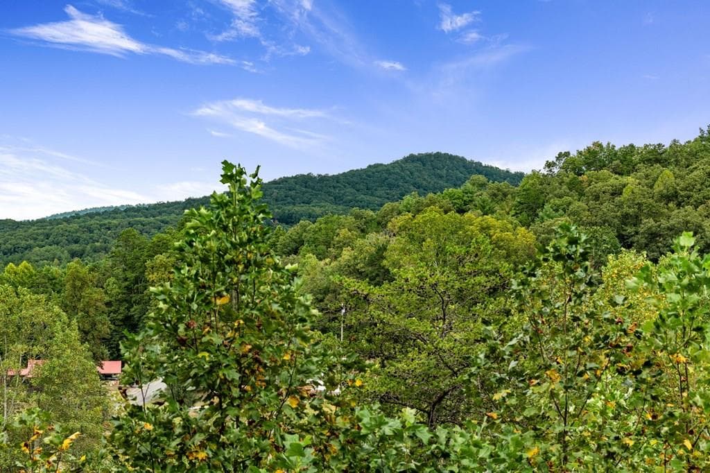 6 Gilliam Road, Mineral Bluff GA 30559 - Photo