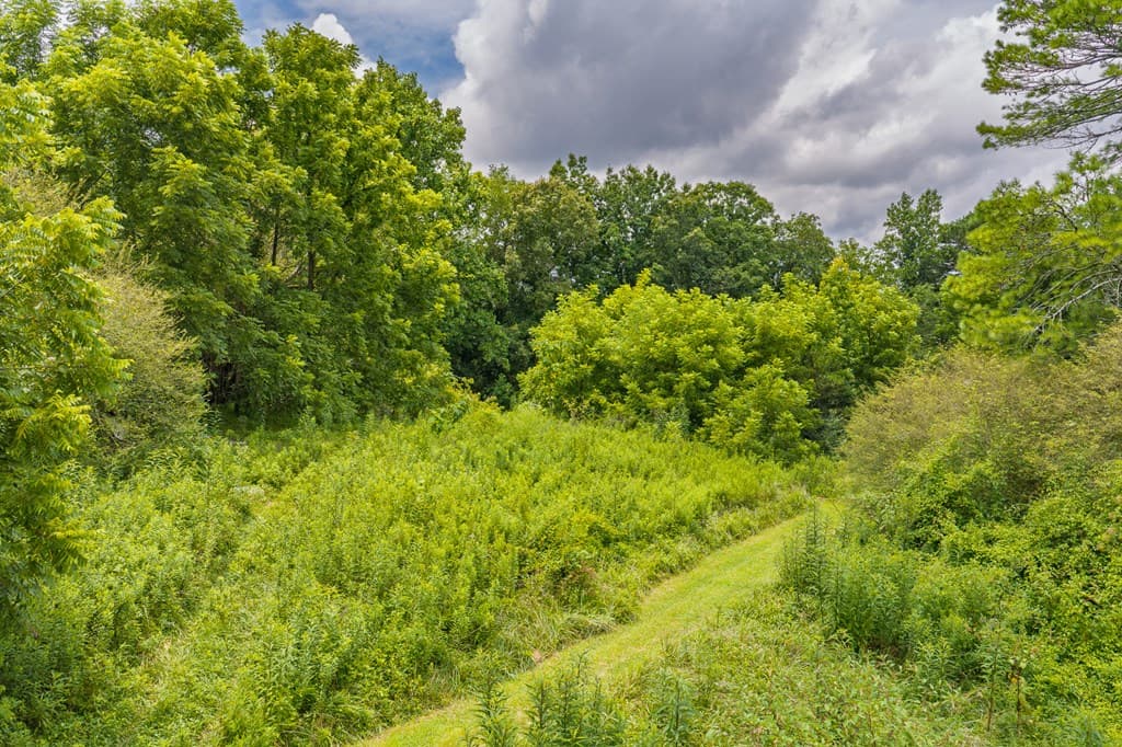 0 Highway 515 N, Jasper GA 30143 - Photo