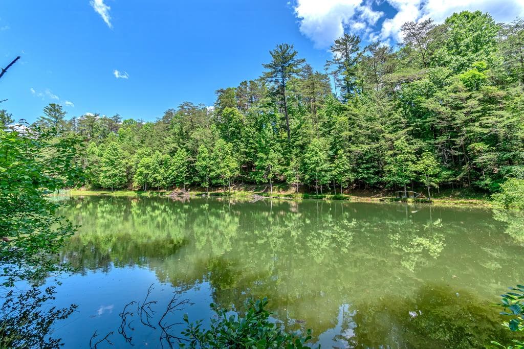 341 Valley View Road, Ellijay GA 30536 - Photo