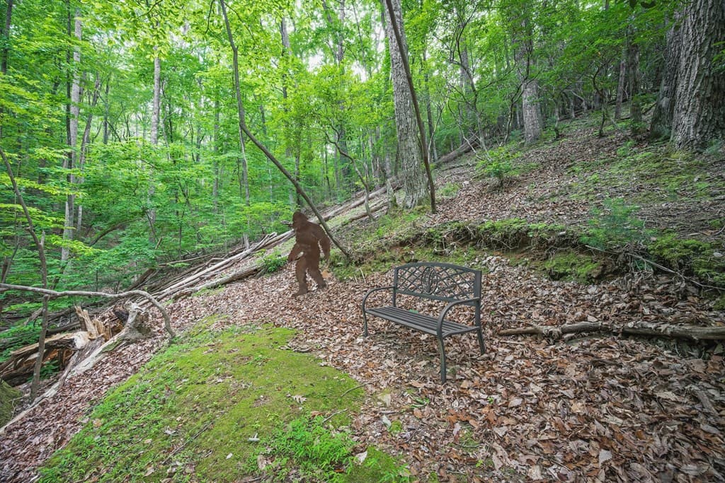 341 Valley View Road, Ellijay GA 30536 - Photo