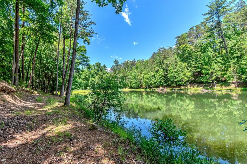 341 Valley View Road, Ellijay GA 30536 - Photo