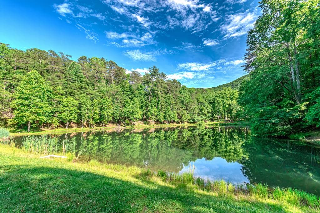 341 Valley View Road, Ellijay GA 30536 - Photo