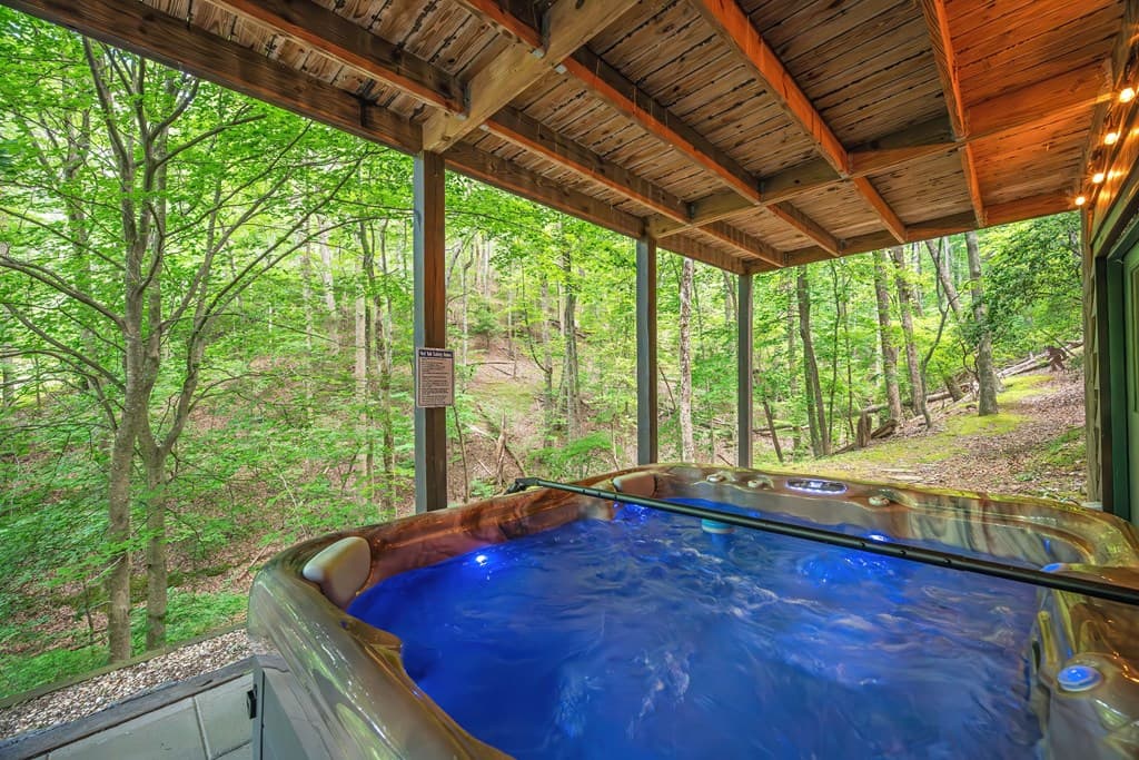 341 Valley View Road, Ellijay GA 30536 - Photo