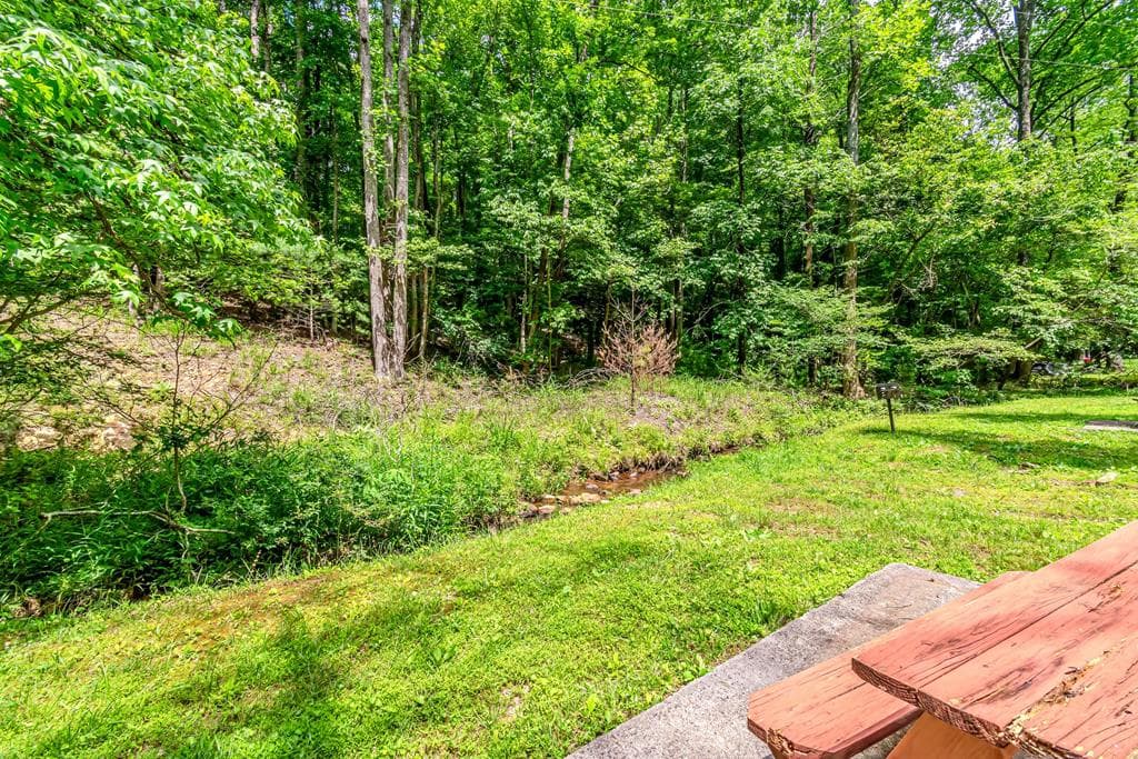 341 Valley View Road, Ellijay GA 30536 - Photo
