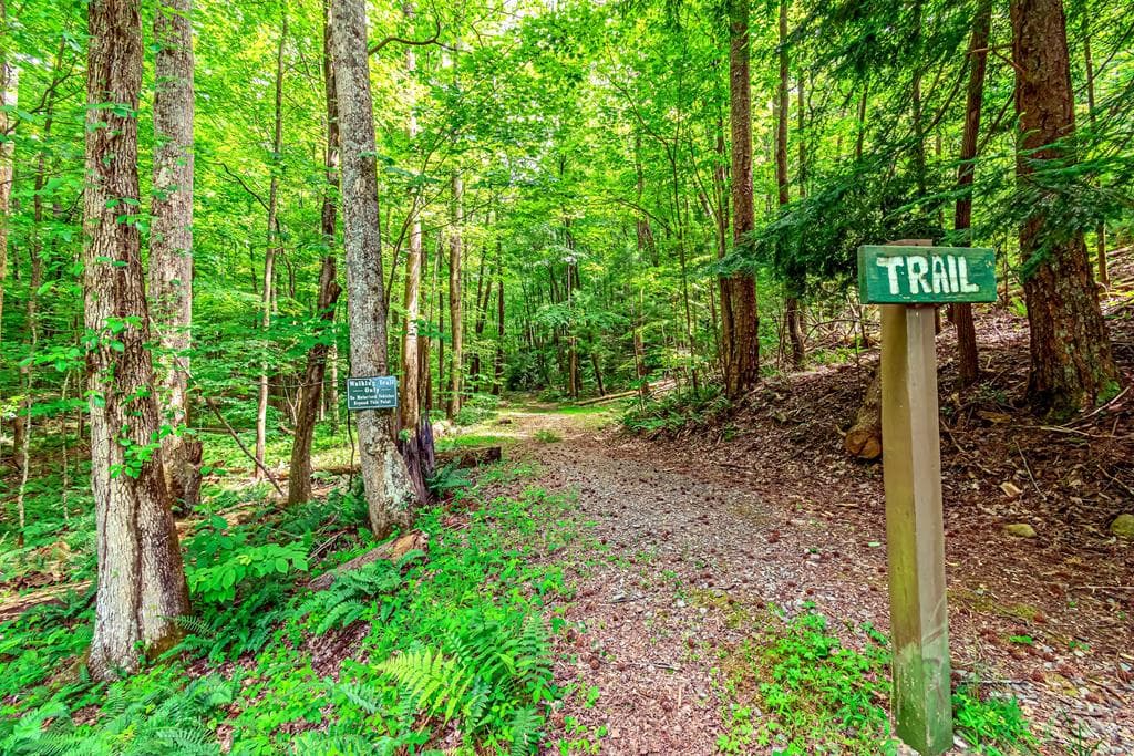 341 Valley View Road, Ellijay GA 30536 - Photo