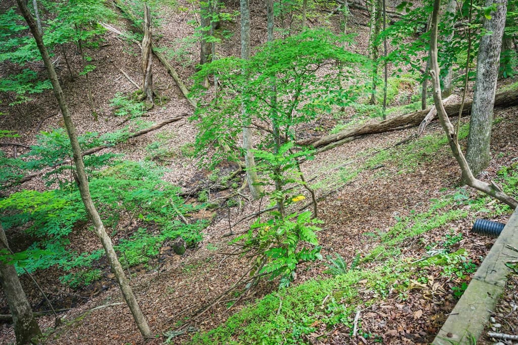 341 Valley View Road, Ellijay GA 30536 - Photo