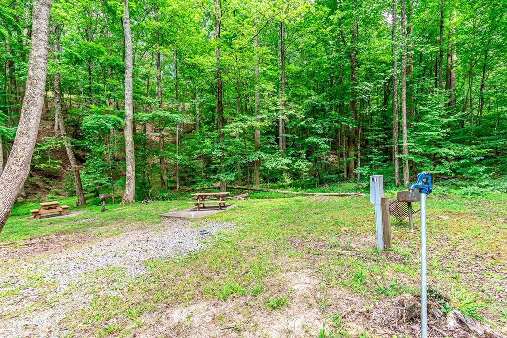 341 Valley View Road, Ellijay GA 30536 - Photo
