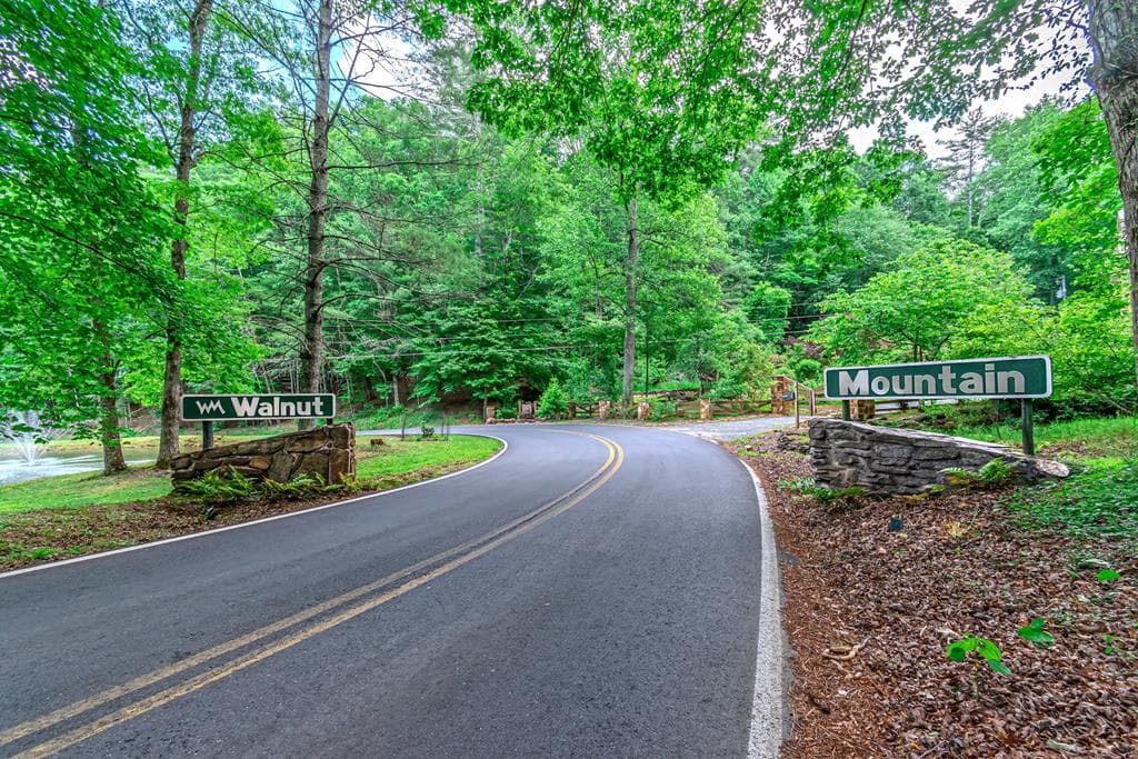 341 Valley View Road, Ellijay GA 30536 - Photo