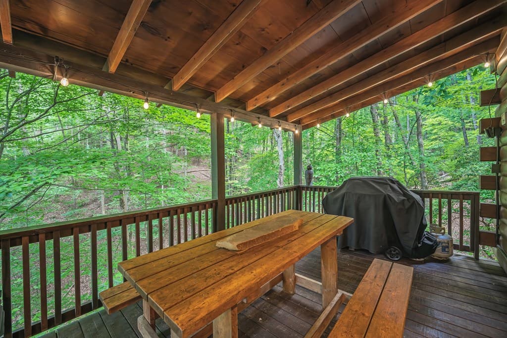 341 Valley View Road, Ellijay GA 30536 - Photo