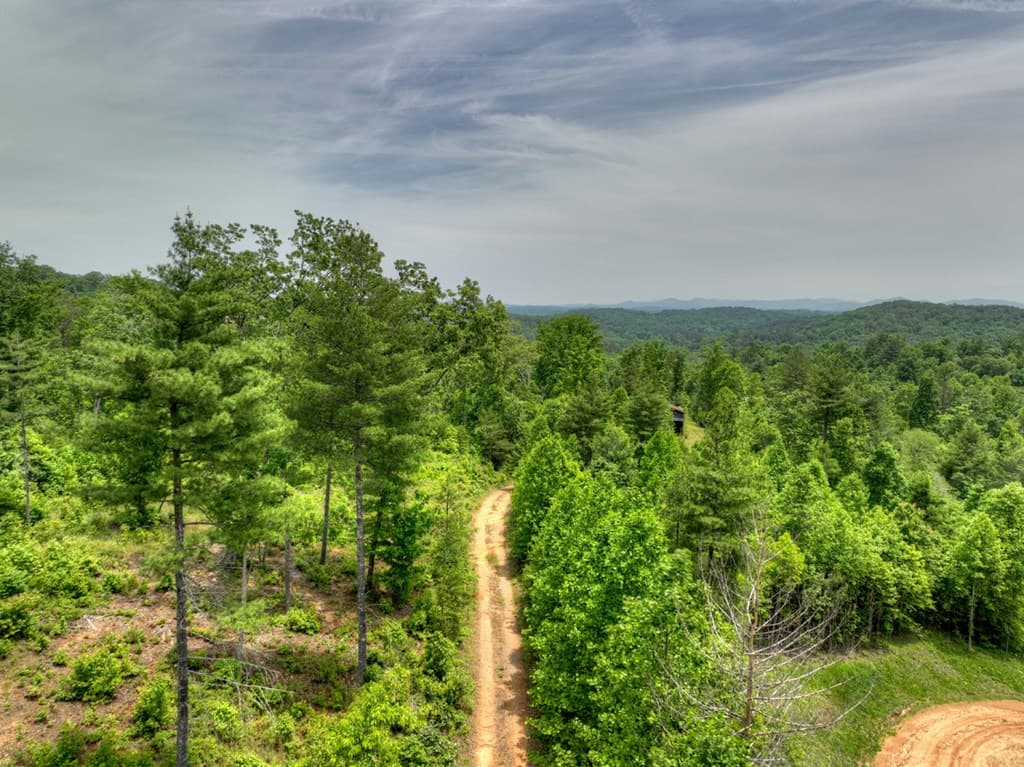 7.5 ac Hidden Acres, Blue Ridge GA 30513 - Photo
