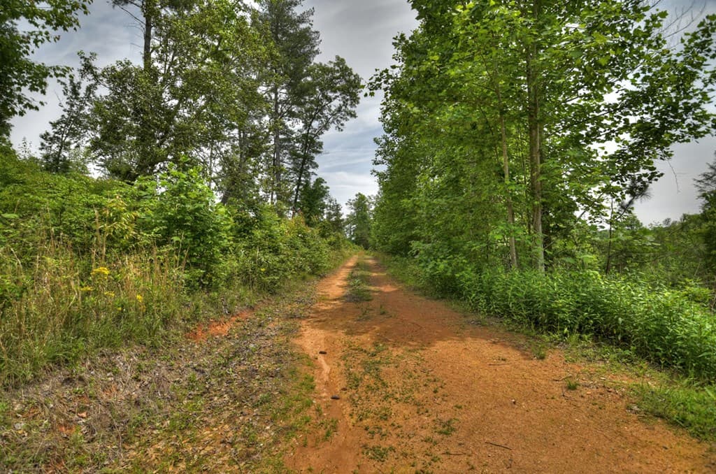 7.5 ac Hidden Acres, Blue Ridge GA 30513 - Photo