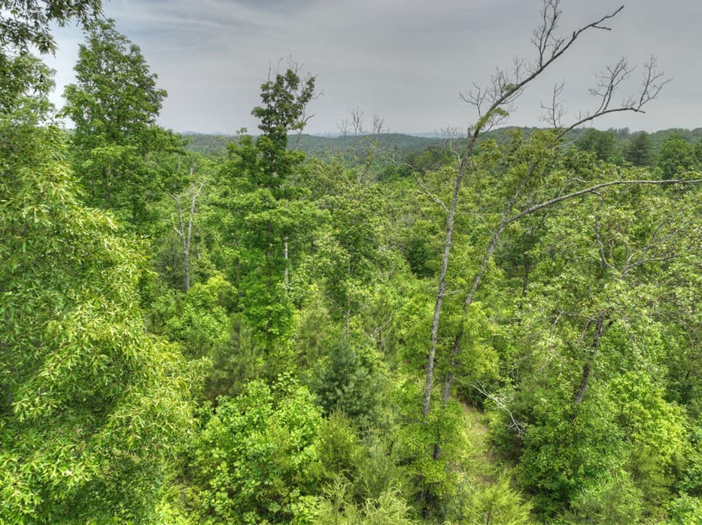 7.5 ac Hidden Acres, Blue Ridge GA 30513 - Photo