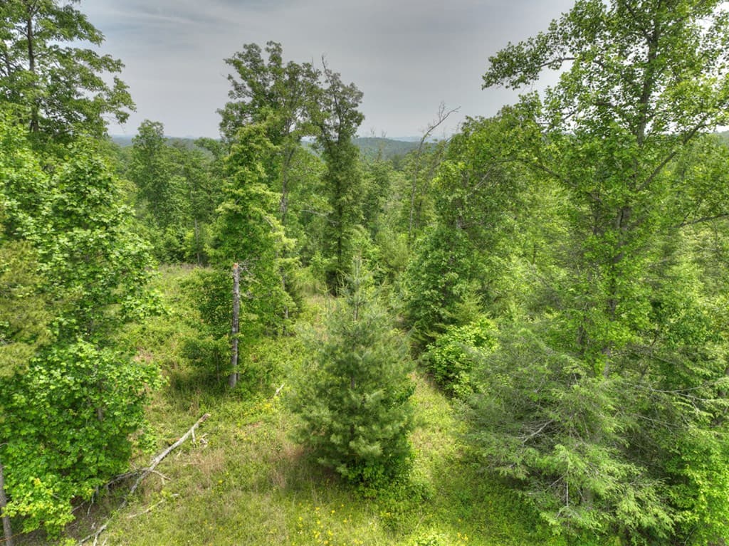 7.5 ac Hidden Acres, Blue Ridge GA 30513 - Photo