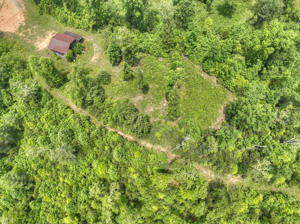 7.5 ac Hidden Acres, Blue Ridge GA 30513 - Photo