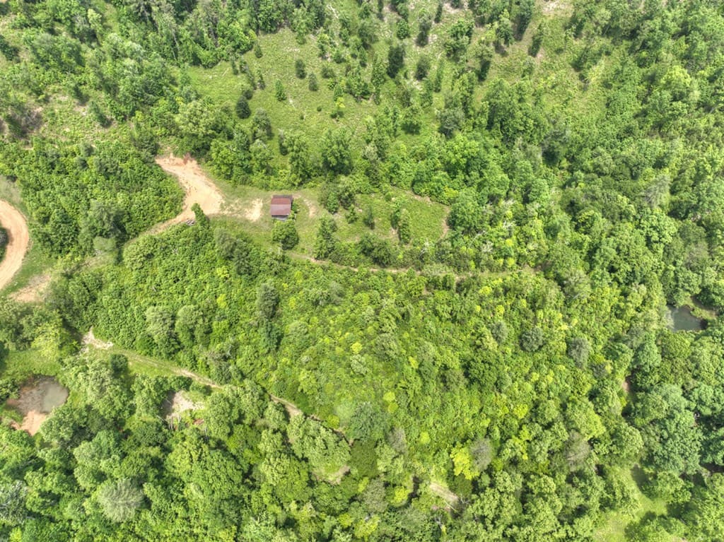 7.5 ac Hidden Acres, Blue Ridge GA 30513 - Photo